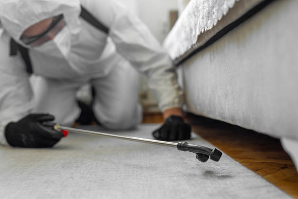 Professional Pest Control technician working in Idalou, TX