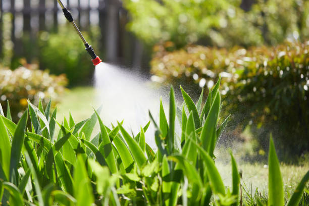 24/7 Emergency Pest Control experts in Idalou, TX