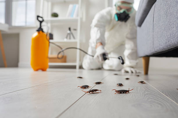 Affordable Pest Control solutions in Idalou, TX